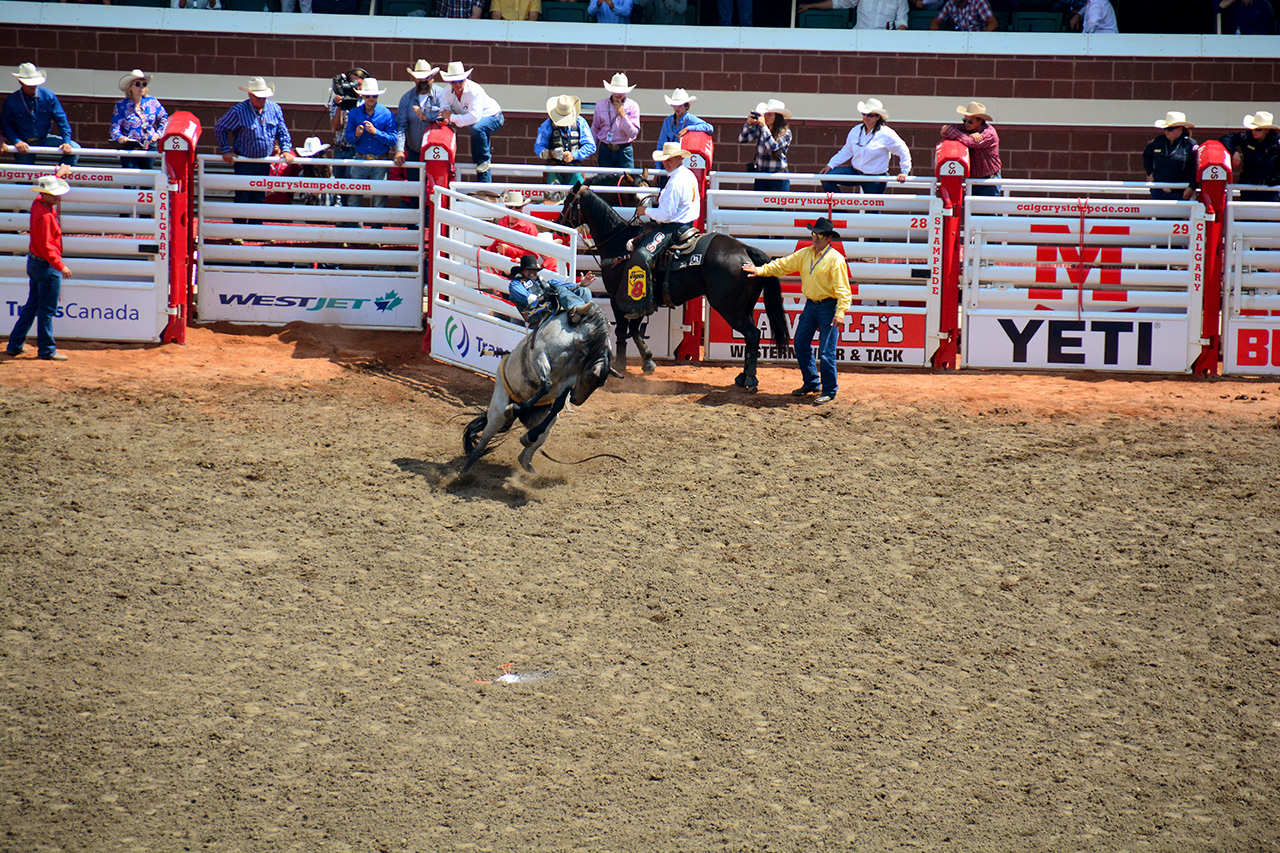 2017-07-10, 215, Calgary Stampede, AB, Bareback Bronco Riding