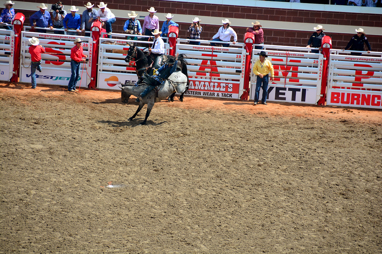 2017-07-10, 221, Calgary Stampede, AB, Bareback Bronco Riding