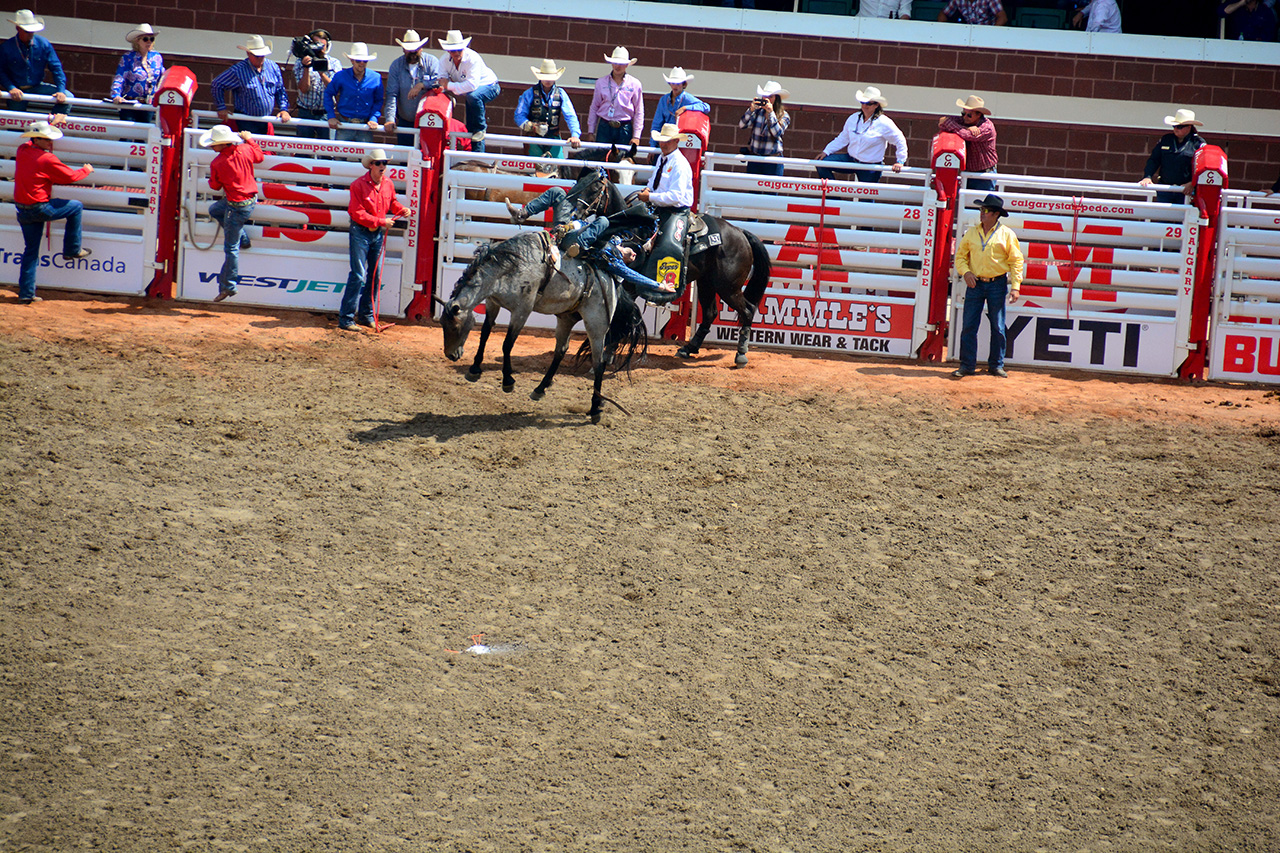 2017-07-10, 222, Calgary Stampede, AB, Bareback Bronco Riding