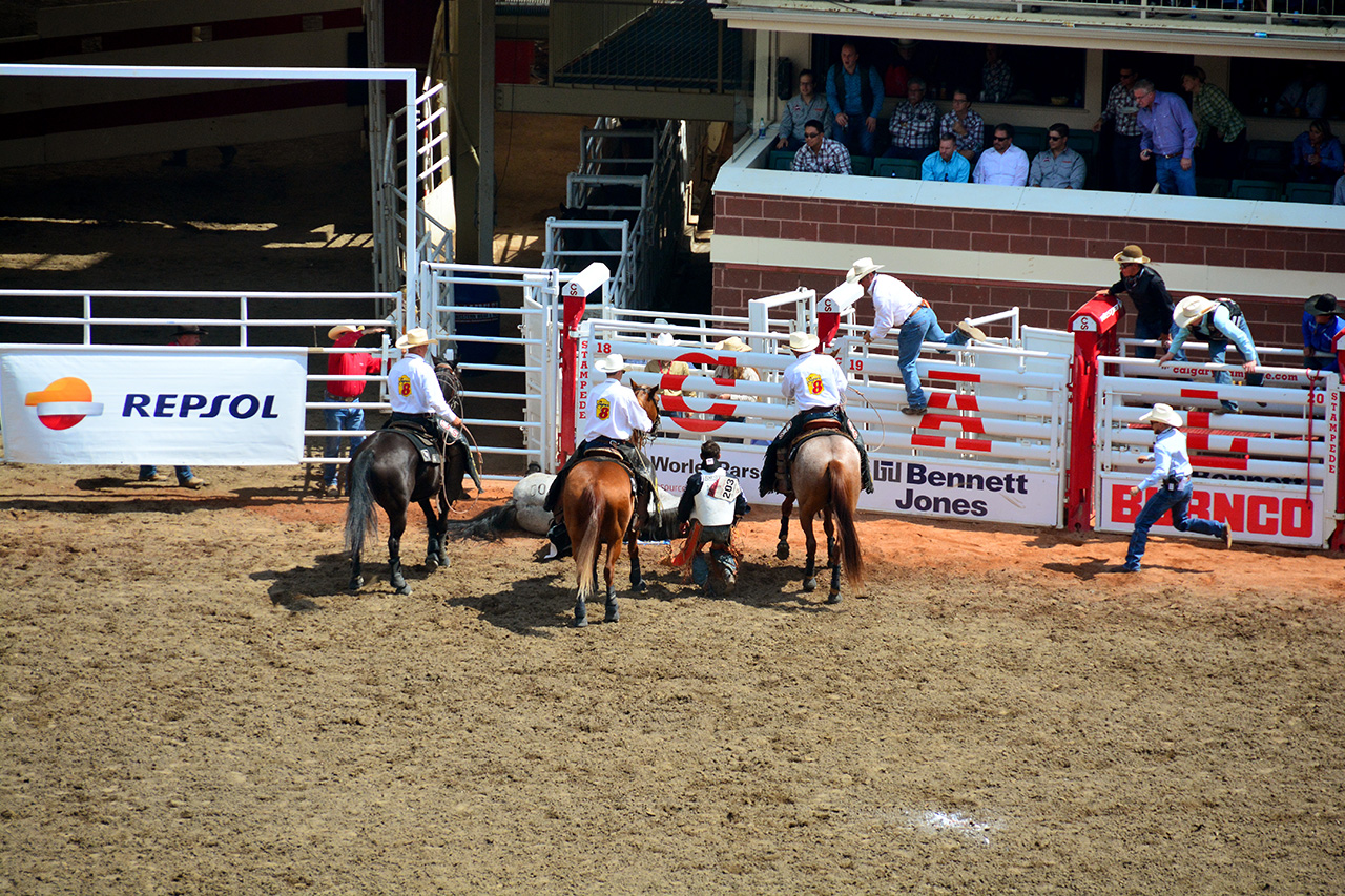 2017-07-10, 228, Calgary Stampede, AB, Bareback Bronco Riding