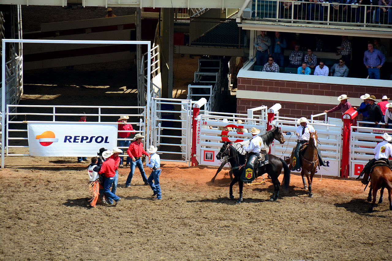 2017-07-10, 231, Calgary Stampede, AB, Bareback Bronco Riding