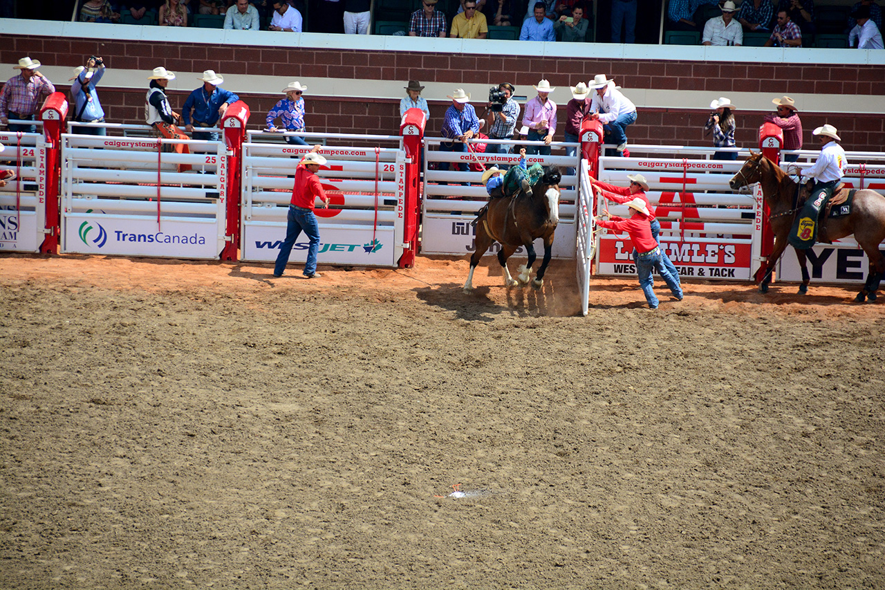 2017-07-10, 232, Calgary Stampede, AB, Bareback Bronco Riding