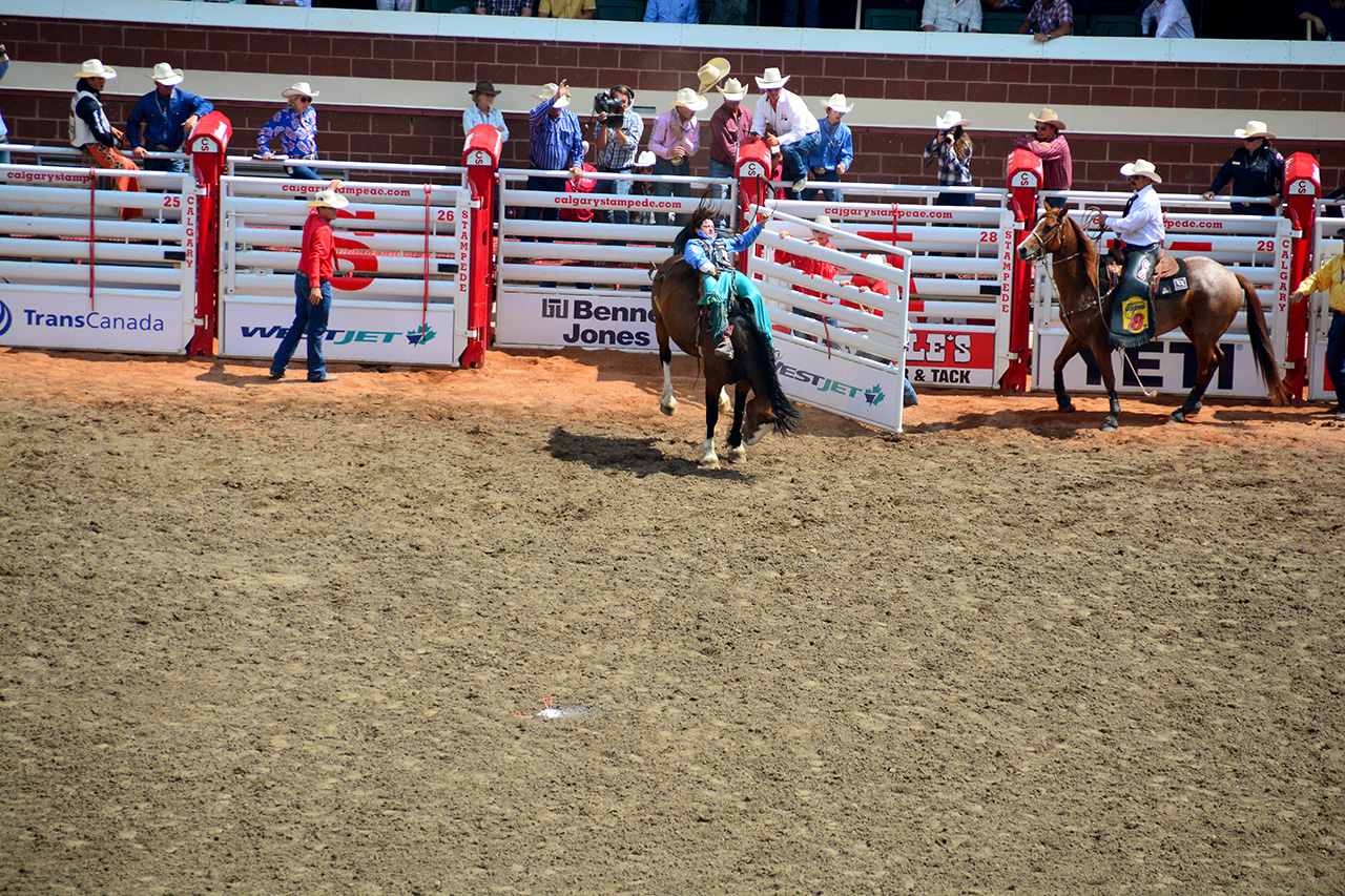 2017-07-10, 233, Calgary Stampede, AB, Bareback Bronco Riding
