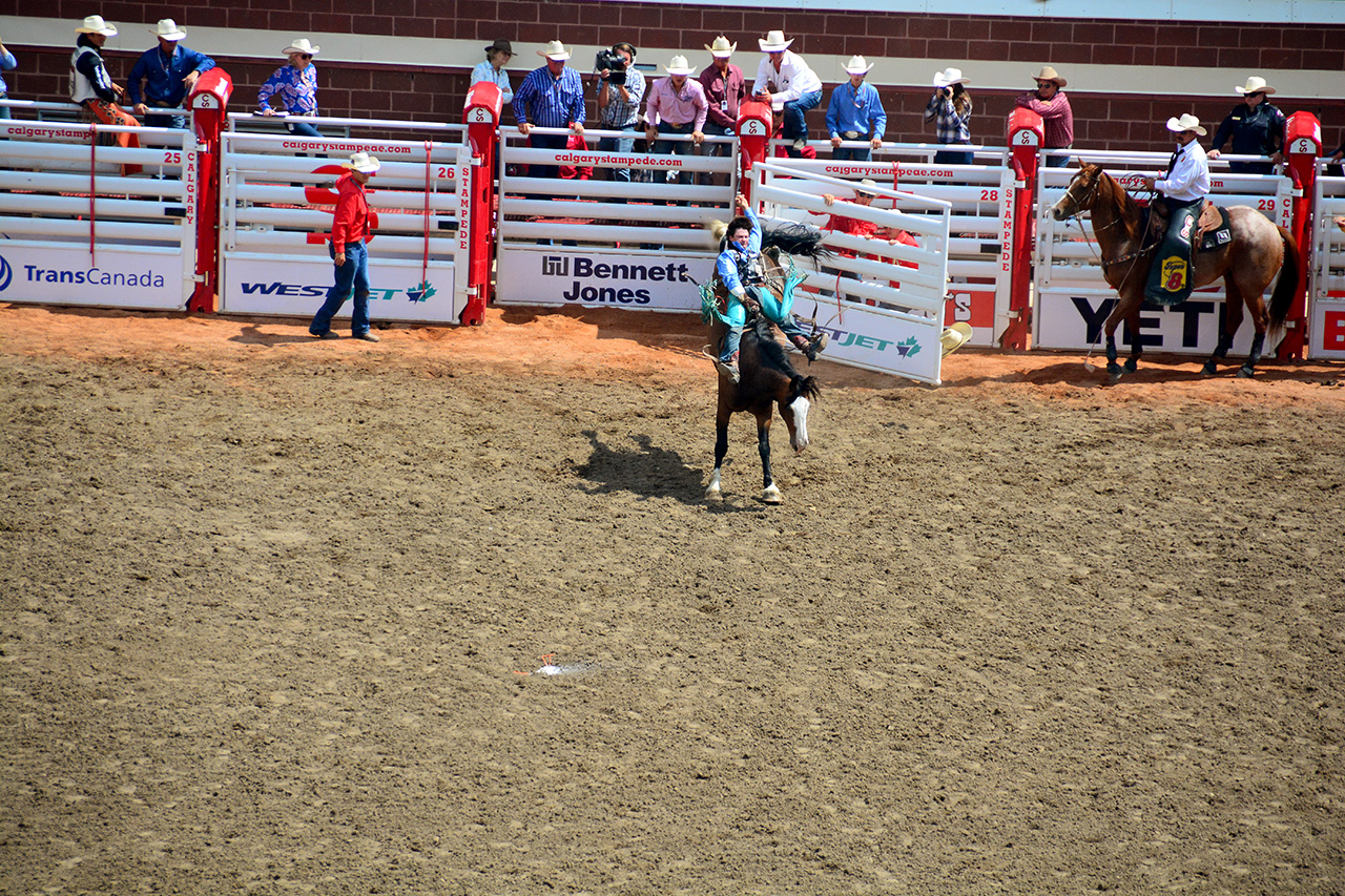 2017-07-10, 234, Calgary Stampede, AB, Bareback Bronco Riding