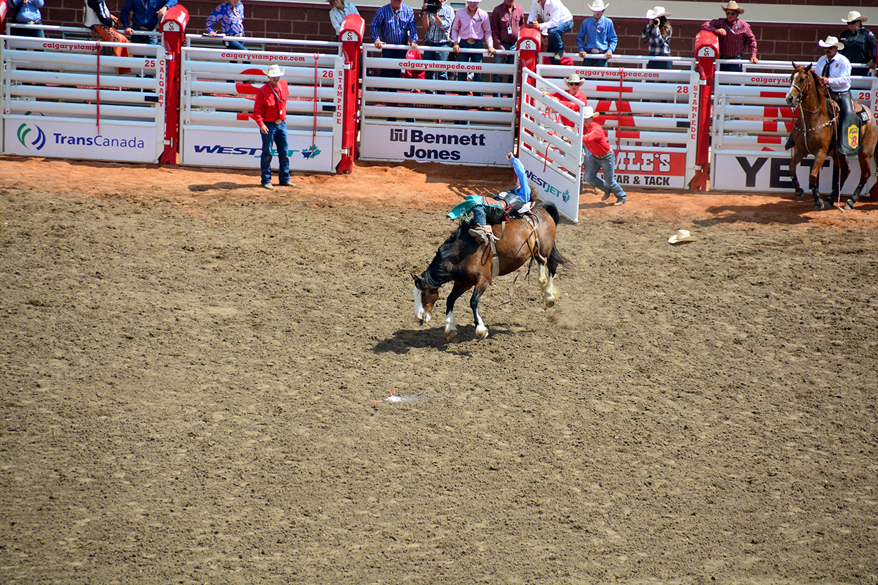 2017-07-10, 235, Calgary Stampede, AB, Bareback Bronco Riding