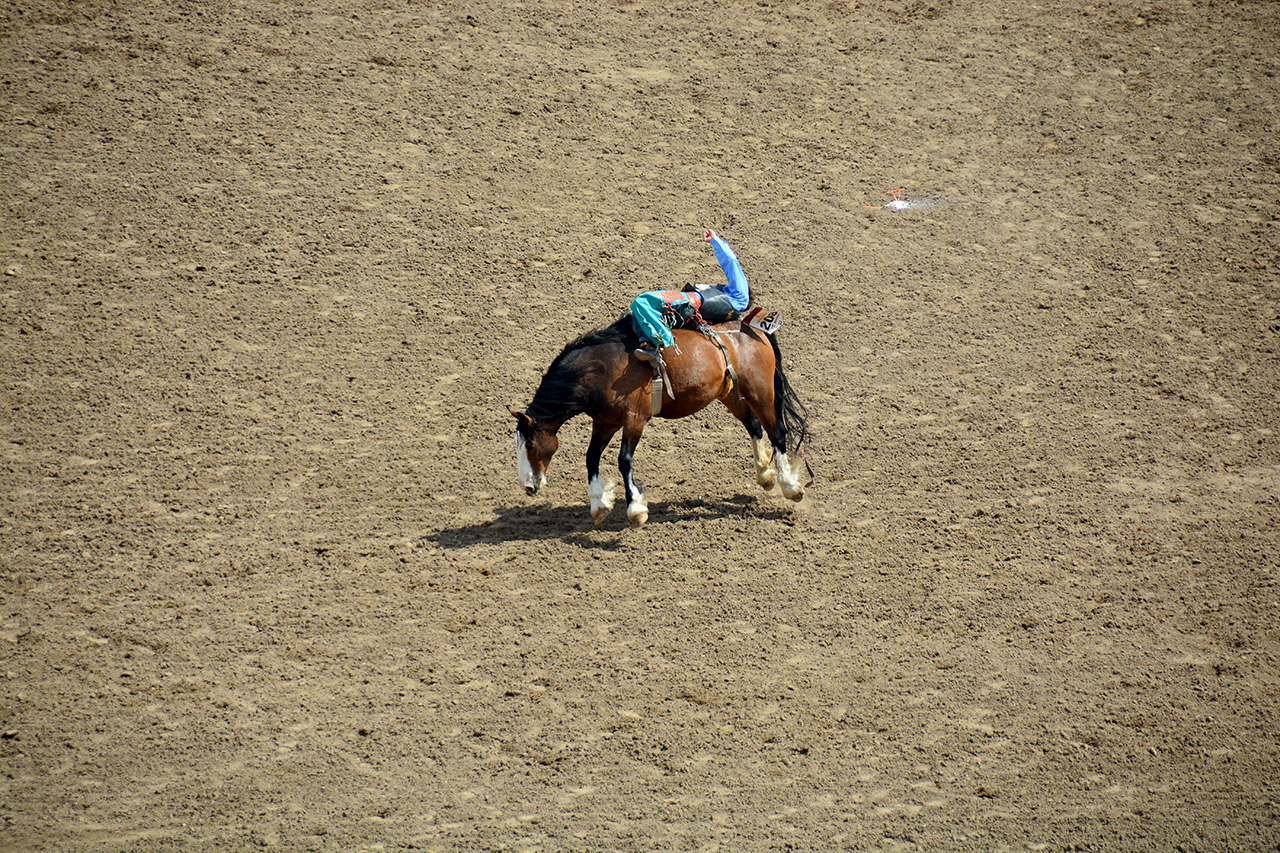 2017-07-10, 236, Calgary Stampede, AB, Bareback Bronco Riding