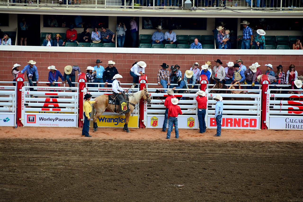 2017-07-10, 239, Calgary Stampede, AB, Bareback Bronco Riding