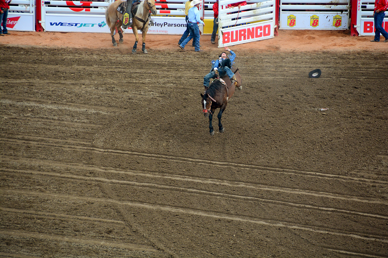 2017-07-10, 242, Calgary Stampede, AB, Bareback Bronco Riding