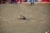 2017-07-10, 117, Calgary Stampede, AB, Steer Wrestling