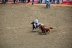 2017-07-10, 122, Calgary Stampede, AB, Steer Wrestling