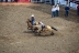 2017-07-10, 133, Calgary Stampede, AB, Steer Wrestling
