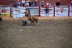 2017-07-10, 161, Calgary Stampede, AB, Bareback Bronco Riding