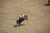 2017-07-10, 179, Calgary Stampede, AB, Bareback Bronco Riding