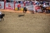 2017-07-10, 182, Calgary Stampede, AB, Bareback Bronco Riding