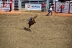 2017-07-10, 190, Calgary Stampede, AB, Bareback Bronco Riding