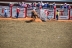 2017-07-10, 201, Calgary Stampede, AB, Bareback Bronco Riding
