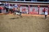 2017-07-10, 218, Calgary Stampede, AB, Bareback Bronco Riding