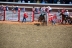 2017-07-10, 232, Calgary Stampede, AB, Bareback Bronco Riding