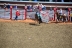 2017-07-10, 233, Calgary Stampede, AB, Bareback Bronco Riding