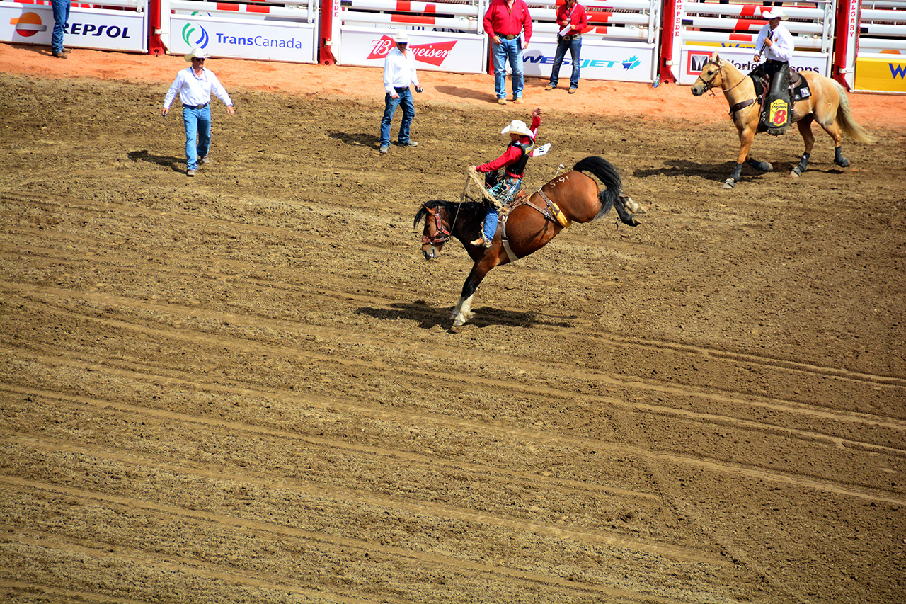 2017-07-10, 250, Calgary Stampede, AB, Saddled Bronco Riding