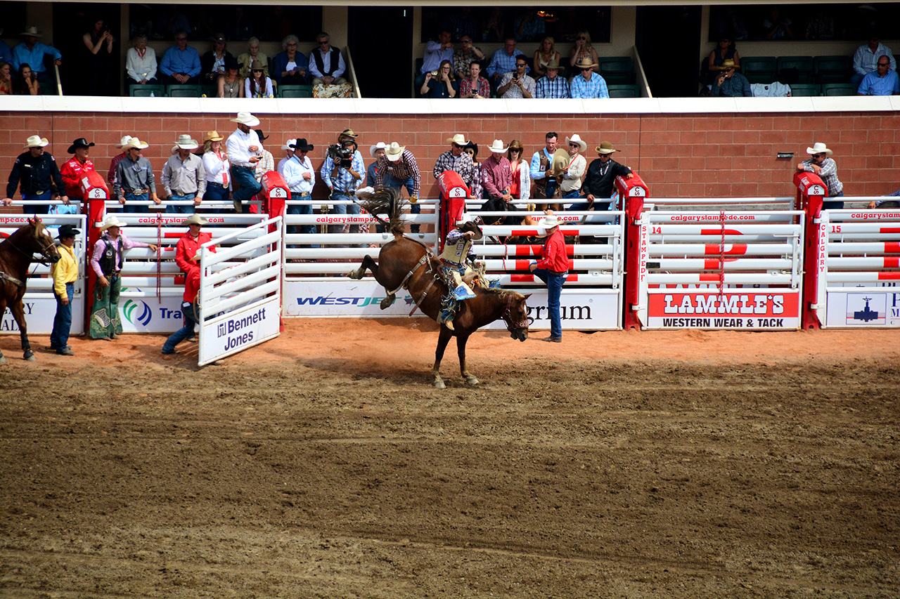 2017-07-10, 251, Calgary Stampede, AB, Saddled Bronco Riding
