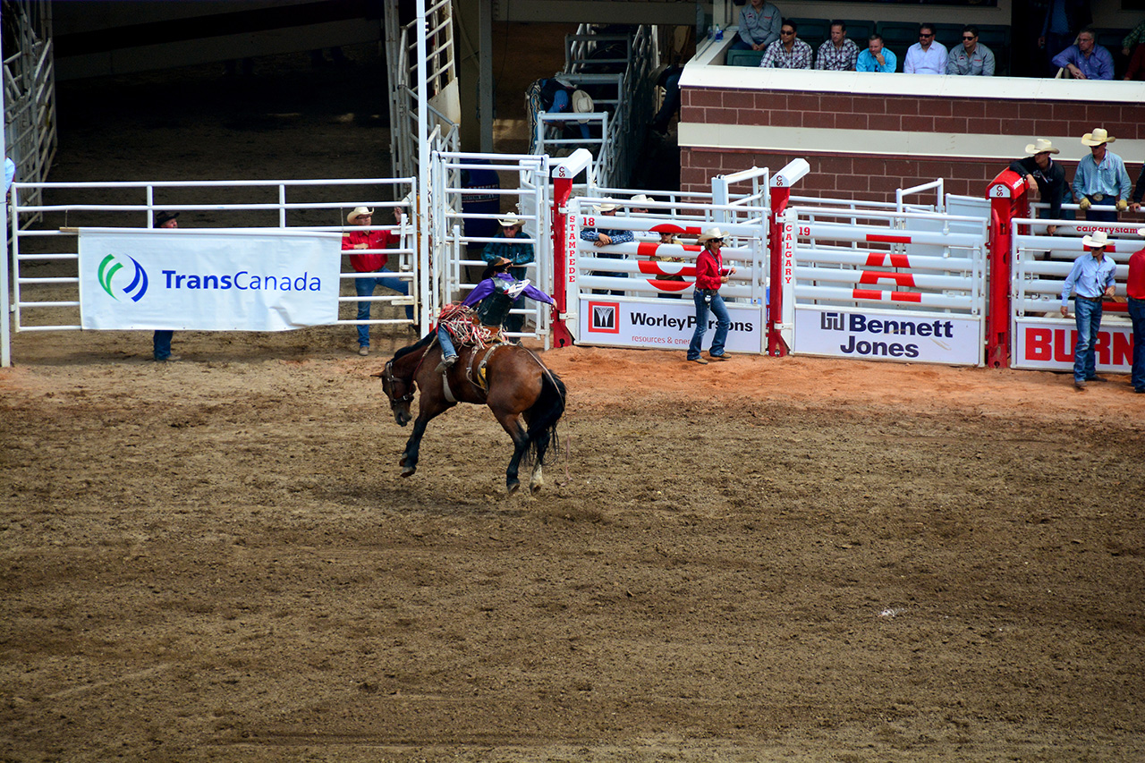 2017-07-10, 265, Calgary Stampede, AB, Saddled Bronco Riding