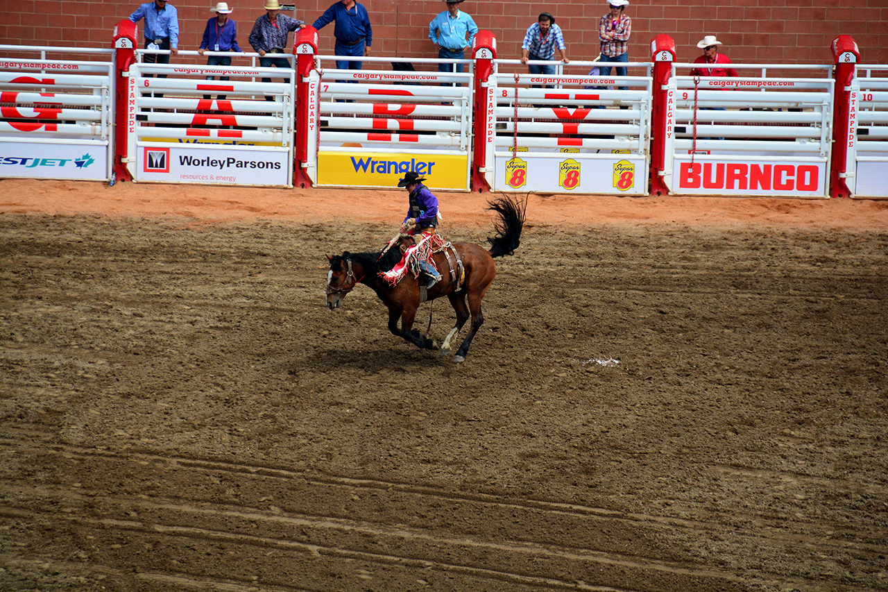 2017-07-10, 268, Calgary Stampede, AB, Saddled Bronco Riding