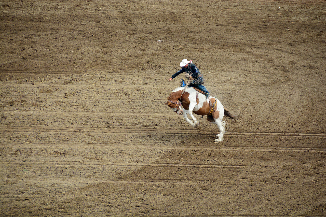 2017-07-10, 272, Calgary Stampede, AB, Saddled Bronco Riding