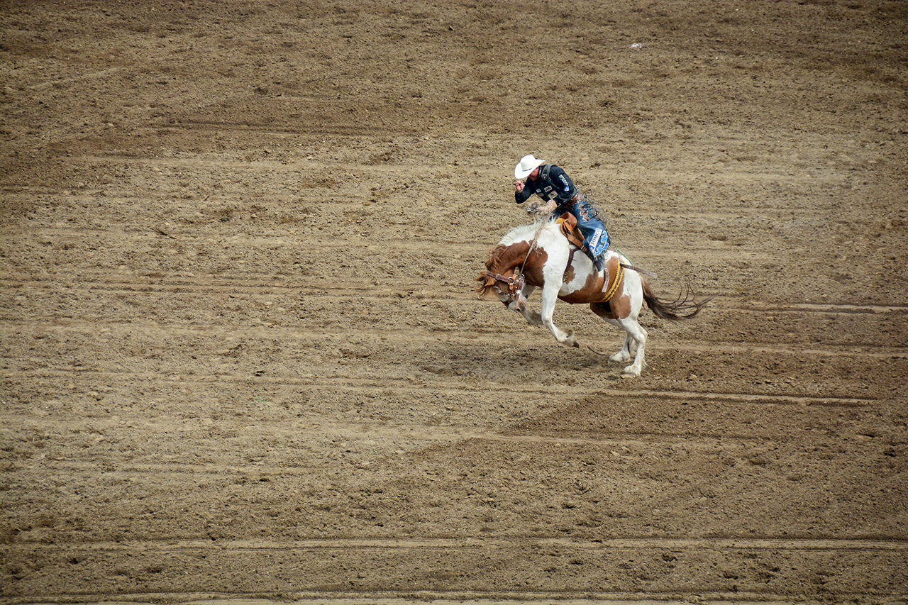 2017-07-10, 274, Calgary Stampede, AB, Saddled Bronco Riding