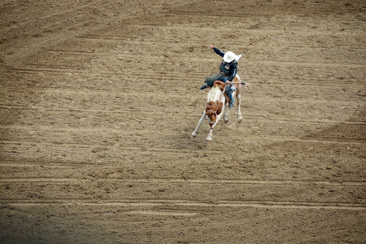 2017-07-10, 276, Calgary Stampede, AB, Saddled Bronco Riding