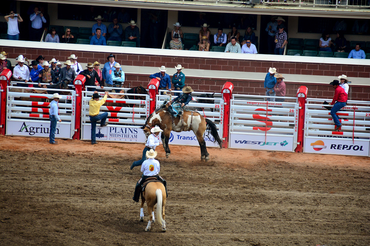 2017-07-10, 281, Calgary Stampede, AB, Saddled Bronco Riding