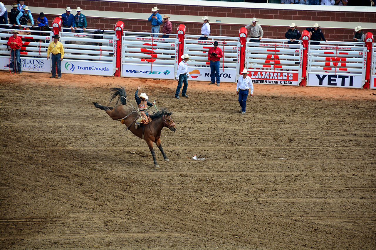 2017-07-10, 286, Calgary Stampede, AB, Saddled Bronco Riding