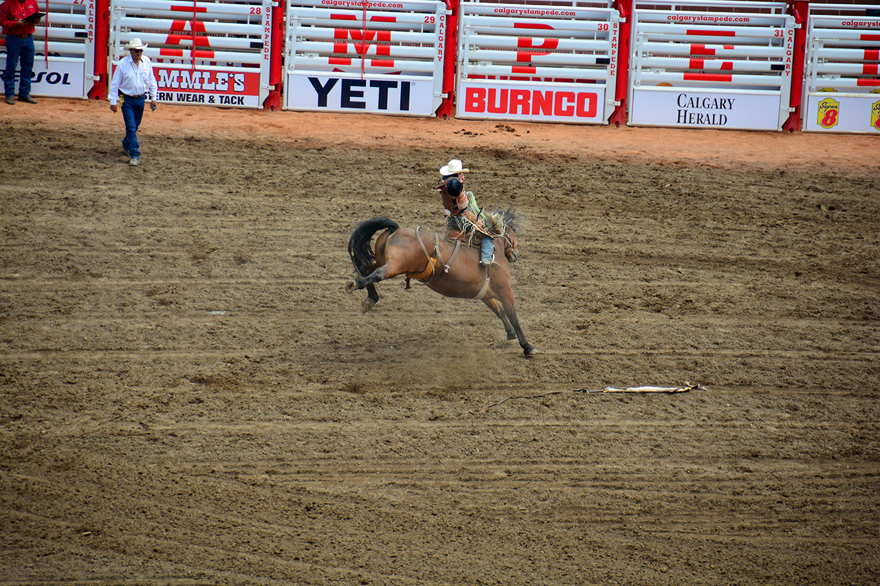 2017-07-10, 287, Calgary Stampede, AB, Saddled Bronco Riding