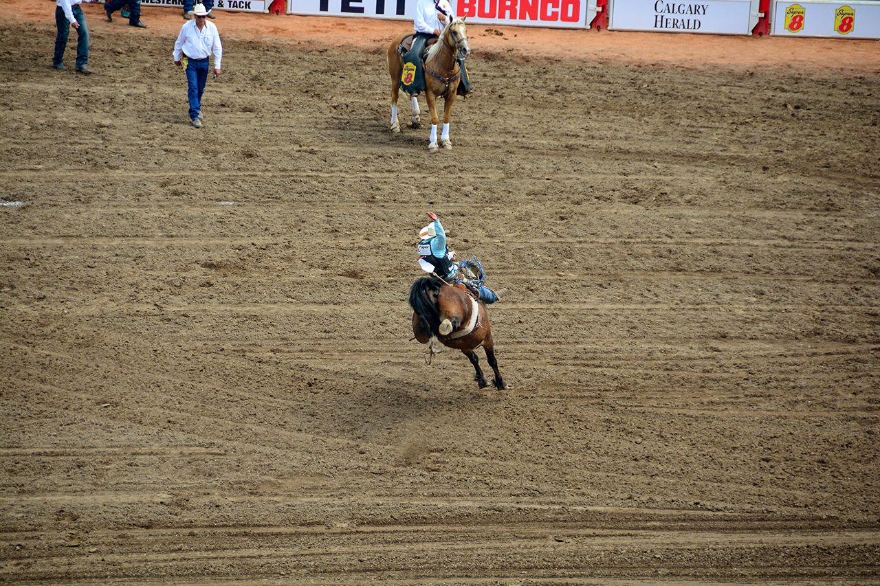2017-07-10, 294, Calgary Stampede, AB, Saddled Bronco Riding