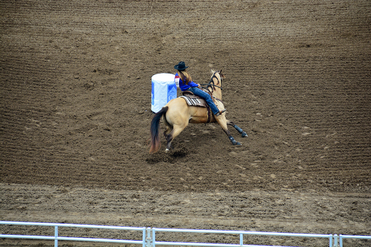 2017-07-10, 330, Calgary Stampede, AB, Barrel Racing