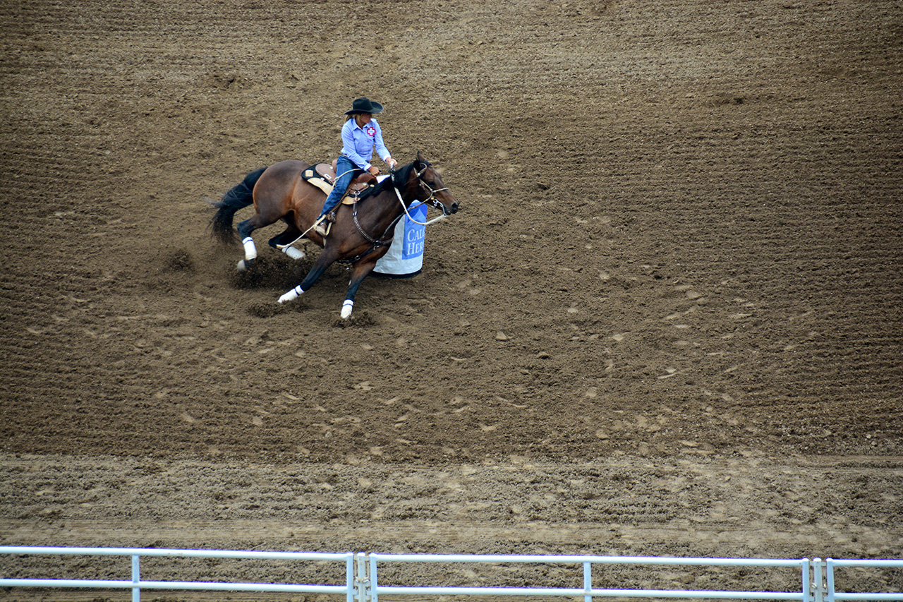 2017-07-10, 355, Calgary Stampede, AB, Barrel Racing
