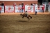 2017-07-10, 254, Calgary Stampede, AB, Saddled Bronco Riding