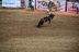 2017-07-10, 262, Calgary Stampede, AB, Saddled Bronco Riding