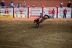 2017-07-10, 267, Calgary Stampede, AB, Saddled Bronco Riding