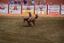 2017-07-10, 268, Calgary Stampede, AB, Saddled Bronco Riding