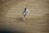 2017-07-10, 277, Calgary Stampede, AB, Saddled Bronco Riding