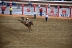 2017-07-10, 286, Calgary Stampede, AB, Saddled Bronco Riding