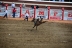 2017-07-10, 288, Calgary Stampede, AB, Saddled Bronco Riding
