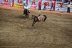 2017-07-10, 292, Calgary Stampede, AB, Saddled Bronco Riding