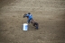 2017-07-10, 360, Calgary Stampede, AB, Barrel Racing