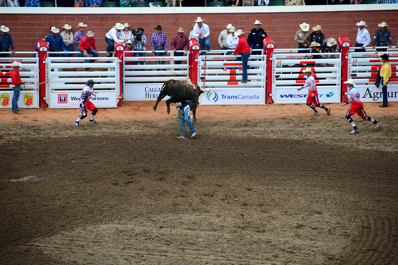 2017-07-10, 369, Calgary Stampede, AB, Bull Riding