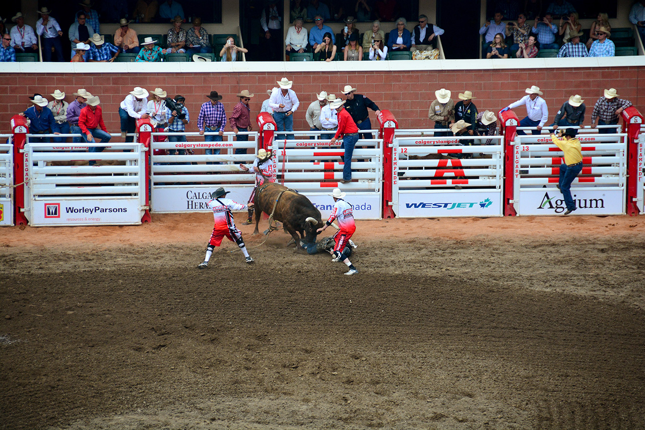 2017-07-10, 372, Calgary Stampede, AB, Bull Riding
