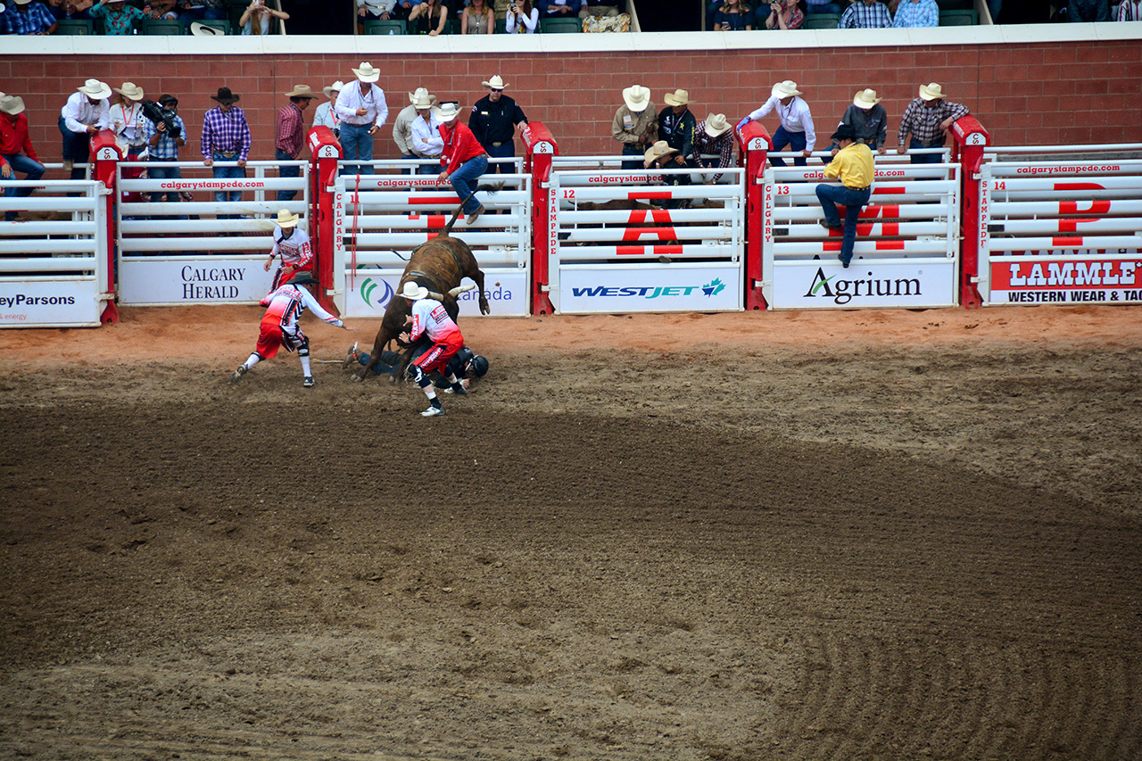 2017-07-10, 373, Calgary Stampede, AB, Bull Riding