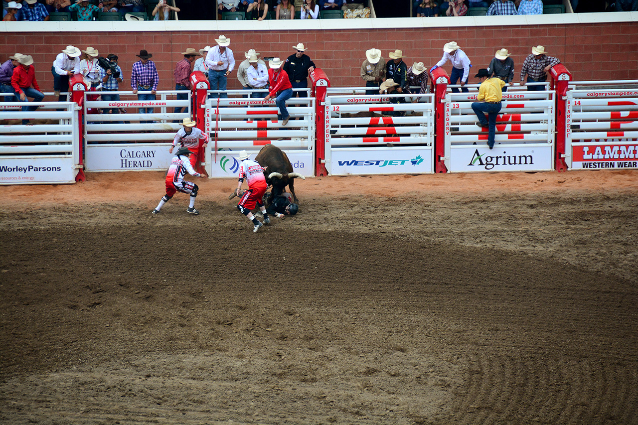 2017-07-10, 374, Calgary Stampede, AB, Bull Riding