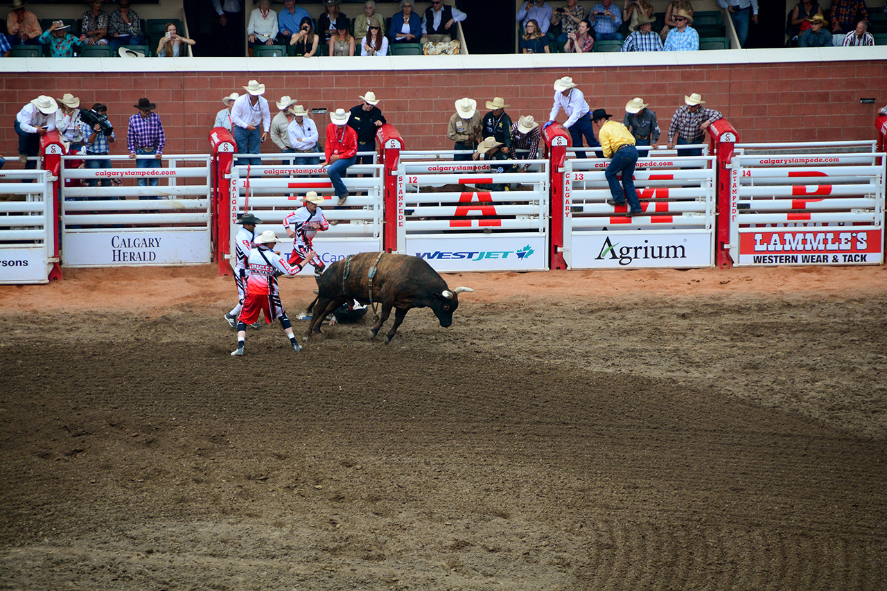 2017-07-10, 376, Calgary Stampede, AB, Bull Riding